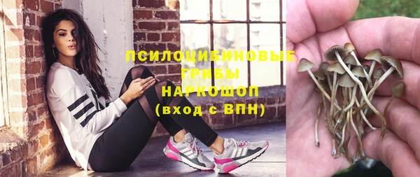 трава Зерноград