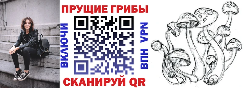 Галлюциногенные грибы Psilocybe  Купить где  Дагестанские Огни 